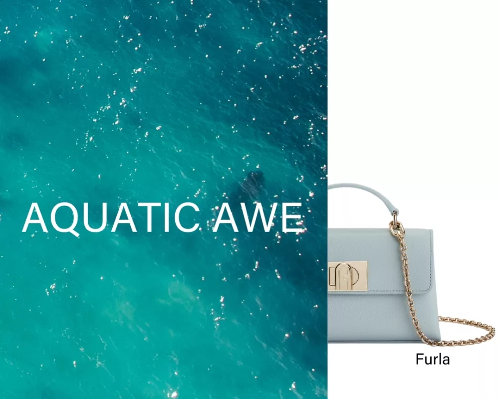 Aquatic Awe