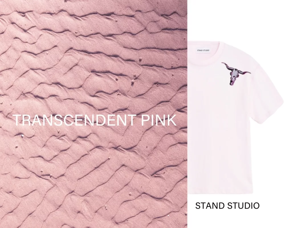 Transcendent Pink